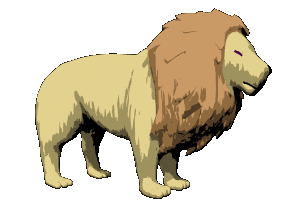 Gif animé lion calme